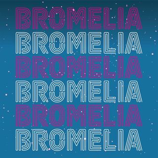 Bromelia Logo